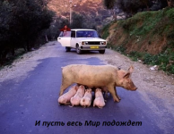 1608882102330.png