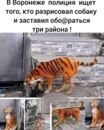 1608924388361.png