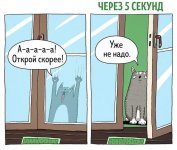 8B74AB96-69AD-414B-AFFE-A75E61721CCA.jpeg
