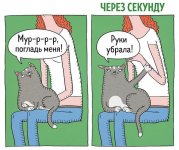 FCFF1AEC-1585-4BA0-A6A3-FE774B92914E.jpeg