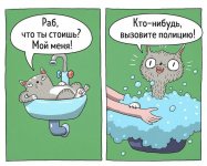 B4F58B1C-4820-4C16-8043-A71F4A561BBE.jpeg