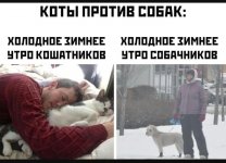 IMG_20210107_164236.jpg