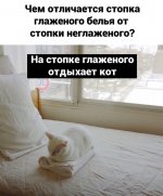 IMG_20210107_021724.jpg
