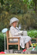 camilla13012021-3.jpg