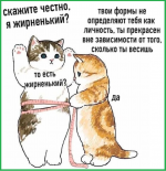 1610612446502.png