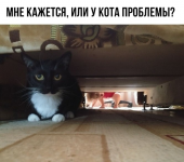 1610748582579.png