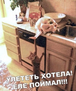 1610941693202.png