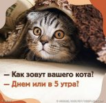 B16A67C0-E117-4D1C-BB43-9CD7A29DE5B4.jpeg