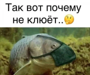 1611256257341.png