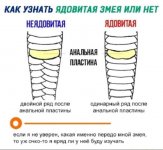 IMG_20210122_073938.jpg