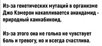 1612204495354.png
