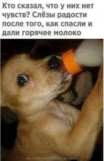 1613165640627.png