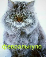 1613247017023.png