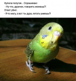 1613364613715.png