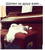 1613365325865.png
