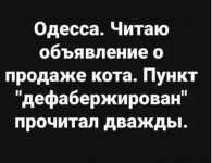 1613413630672.png