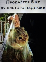 1613584872136.png