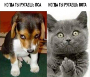 1613678149204.png