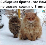 1613733709284.png