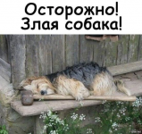 1613890567025.png