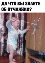 1614438395741.png