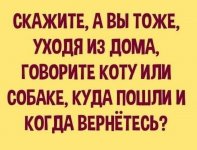 0E39DC36-290B-4F7B-BC89-AAE4D6758775.jpeg
