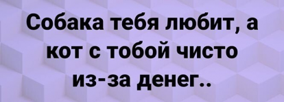 1614804152410.png