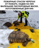 42A5AB8D-E207-44DD-BBDC-A67E5696E8F4.jpeg