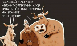 1615475579847.png