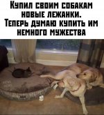 IMG_20210311_205233.jpg