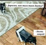 IMG_20210320_102751.jpg