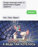 AED108D3-26E7-44B0-AB0E-40214007E4AD.jpeg