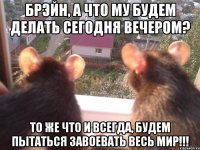 1390162381_1094699260.jpeg