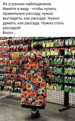 FB_IMG_16176167041485597.jpg