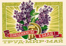1619859260686.png
