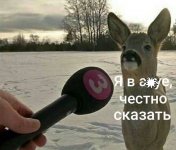 1f783febf75a6e561019abd1616001ec.jpg