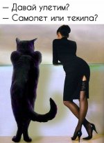 SAMOLET.jpg