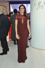 Meghan-Markle-Burberry-Gown.jpg
