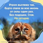 83BE3489-2E04-4A34-8FFD-8575B70C343F.jpeg