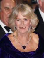 219468107.jpg