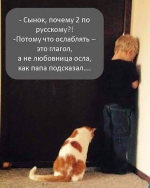 1623070083914.png