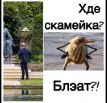 3C7431B6-EEDF-4525-AAB5-499F37CC2358.jpeg
