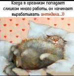 IMG_20210706_143353.jpg