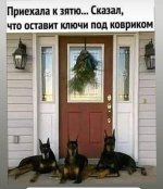 FB_IMG_1625836565035.jpg