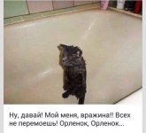 IMG-20210731-WA0000.jpg