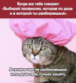 D7F02FCF-7ED5-4D24-9A47-D12B9A4506BF.jpeg