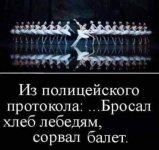 шутка3.jpg
