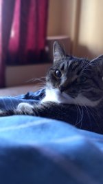 20210805_094513.jpg