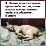 5B5424E6-6CDE-4926-9FB8-61BF4DF1D625.jpeg