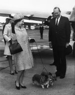 985fc0df8575d73c89e12e2bf34d00e7--queens-corgis-welsh-corgi.jpg